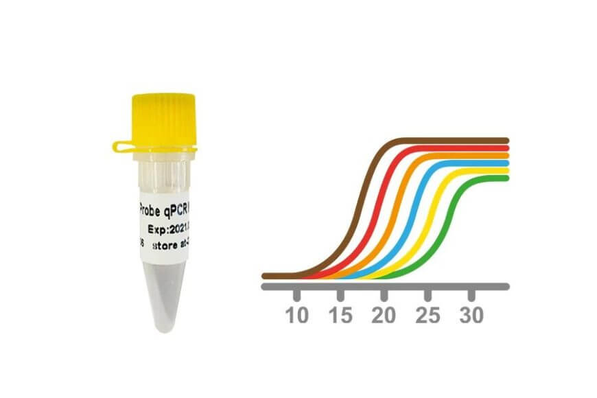 9222JASHNicXbXHYa3Isr8Xh9iaPEcT9O28W7GrhEPNmeFnklS23BUibic5sDaV4ujoo62J45o6yBP1sjt8ZDTib74g 9222JASHNicXbXHYa3Isr8Xh9iaPEcT9O28W7GrhEPNmeFnklS23BUibic5sDaV4ujoo62J45o6yBP1sjt8ZDTib74g
