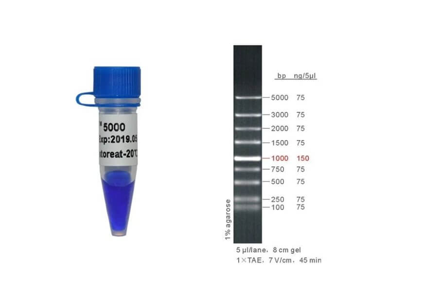 9222JASHNicXbXHYa3Isr8Xh9iaPEcT9O2GCGbpU6eSr9MWXfGibR7cEianzZzcTK4bNgXFaWkdogpw3iavvt2UCMiaA 9222JASHNicXbXHYa3Isr8Xh9iaPEcT9O2GCGbpU6eSr9MWXfGibR7cEianzZzcTK4bNgXFaWkdogpw3iavvt2UCMiaA