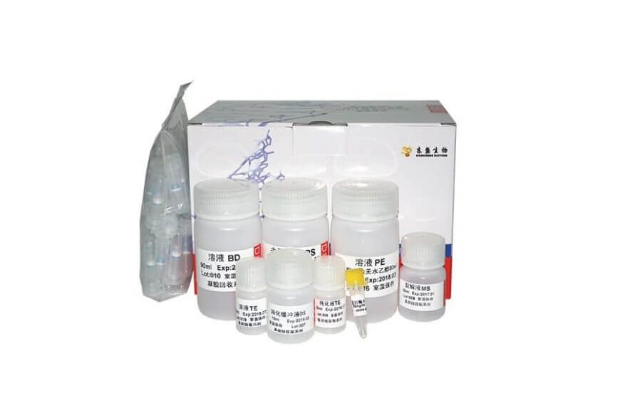 9222JASHNicXbXHYa3Isr8Xh9iaPEcT9O2s2Hvzrn595sX5ahOTuUA2k5nxCWOb2NvNUicAymkoWQh4W4SZzz8GqQ 9222JASHNicXbXHYa3Isr8Xh9iaPEcT9O2s2Hvzrn595sX5ahOTuUA2k5nxCWOb2NvNUicAymkoWQh4W4SZzz8GqQ