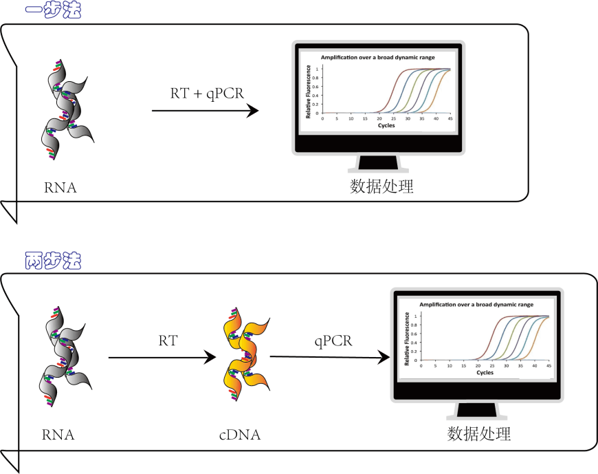 636dc89542ec8 636dc89542ec8