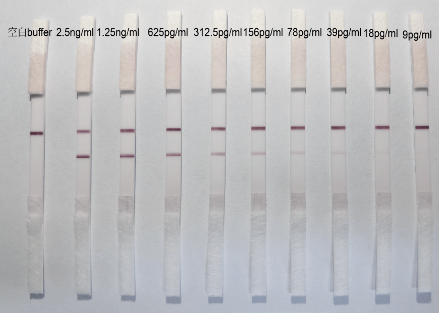 636dbc0ccd1e0 636dbc0ccd1e0
