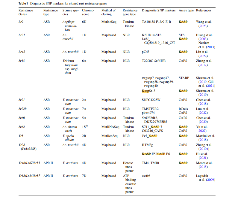 67c1553c4c09d 67c1553c4c09d