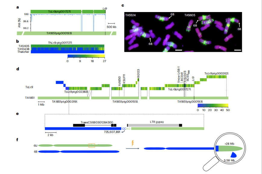 67c1553d38083 67c1553d38083