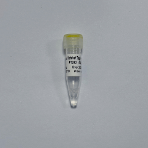 GDSlyo Hotstart Taq Polymerase