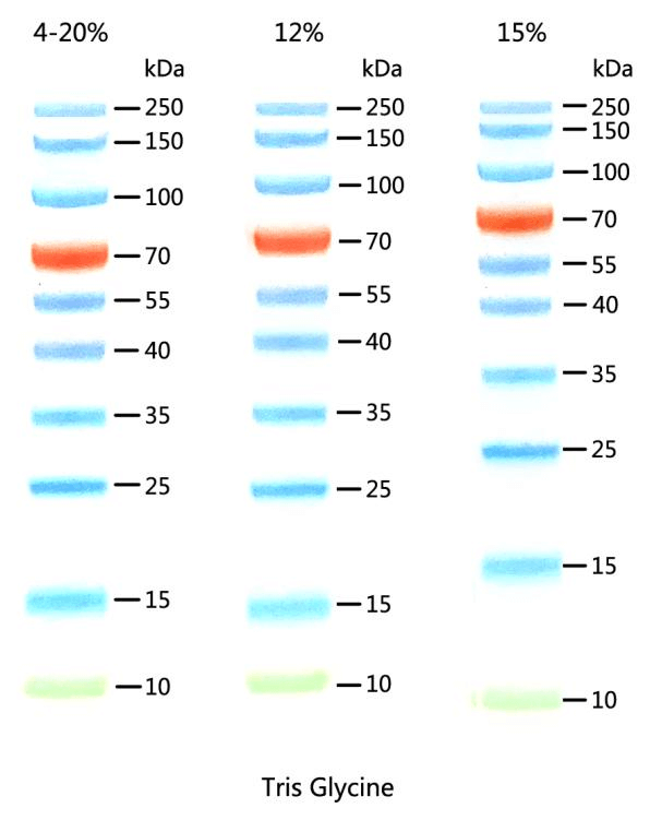 668f919f1b0f5 668f919f1b0f5