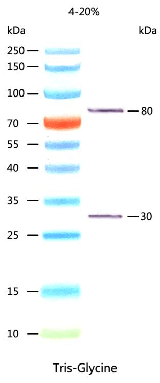 668f924ac0eeb 668f924ac0eeb