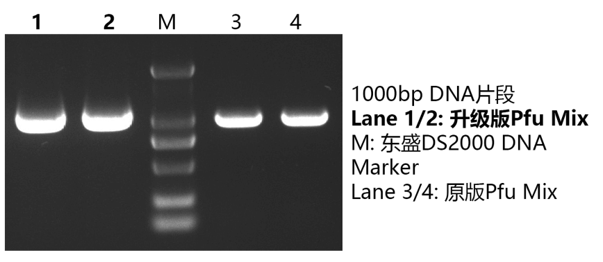 66e24414d32bd 66e24414d32bd