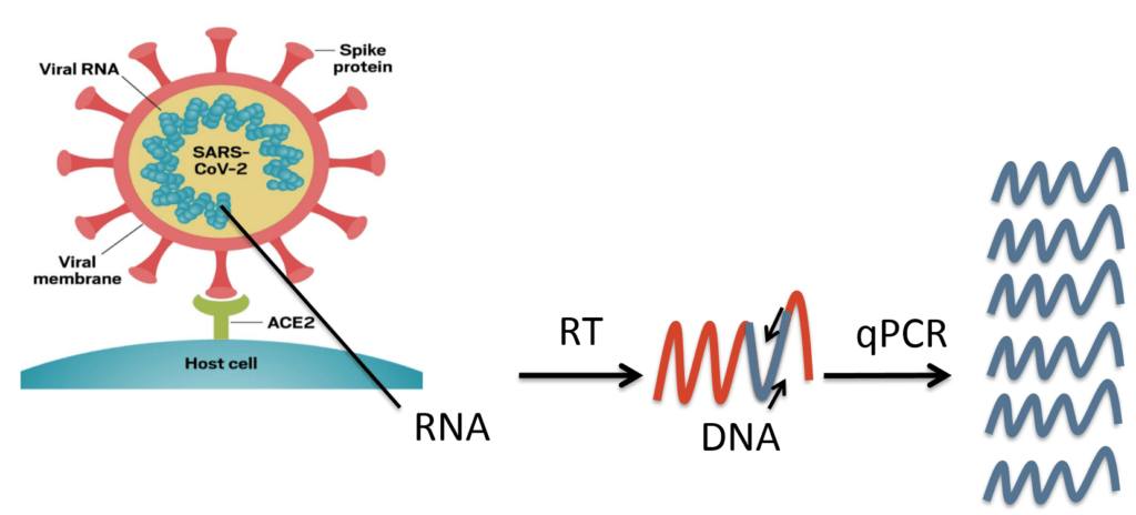 dd592a44b3f7522c2e616df62ac0261b dd592a44b3f7522c2e616df62ac0261b