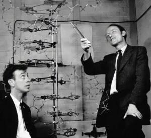 DNA 双螺旋结构的发现：科学史上的伟大突破