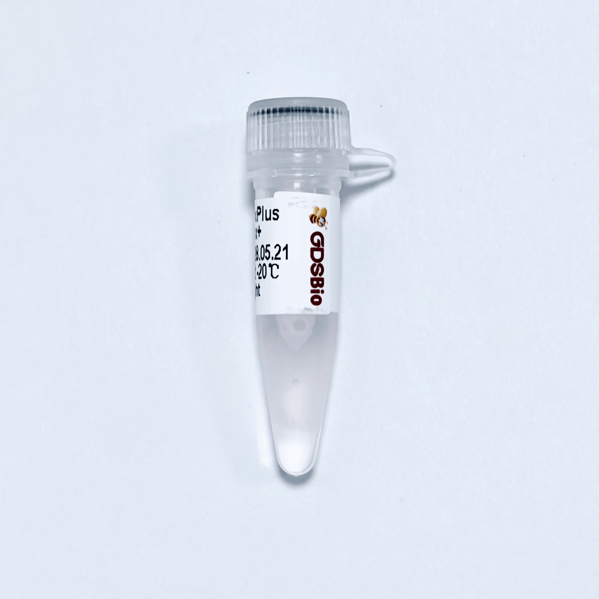 KASP PCR MixPlus (Low ROX+)